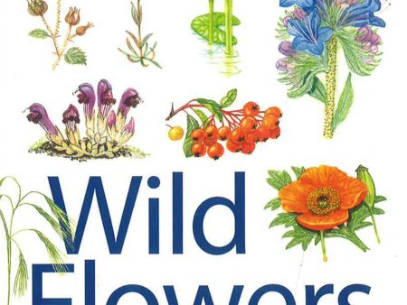 Wild Flowers Of Britain And Ireland: 2nd Edition on Sale